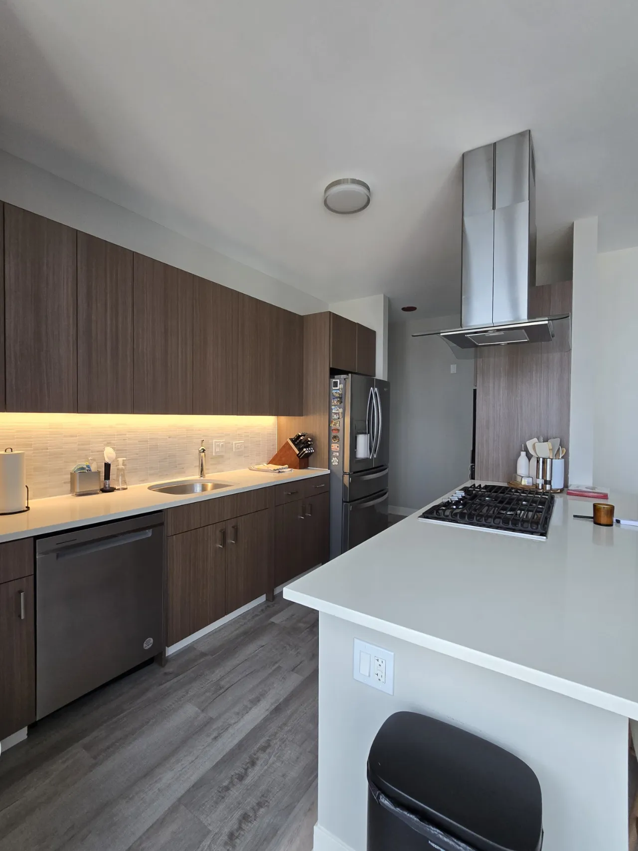 Green Mop professional cleaning service - residential
