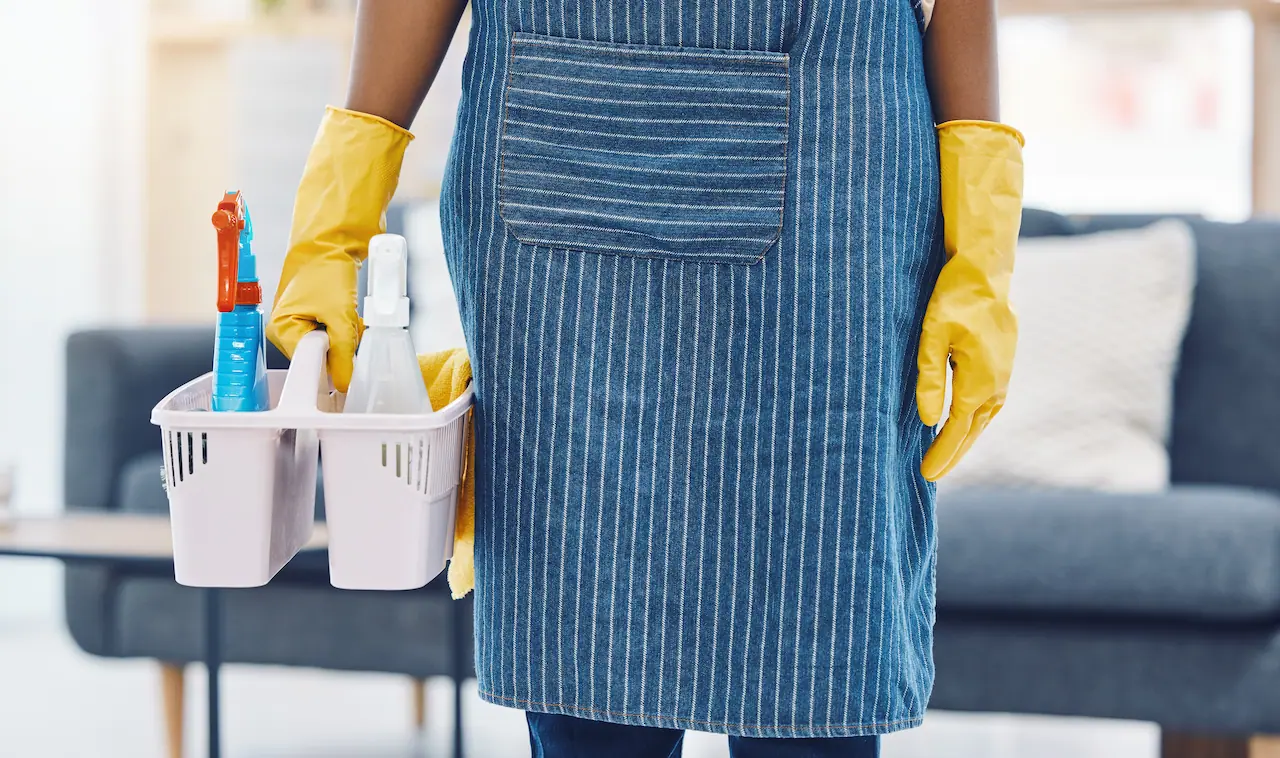 Green Mop Service professional cleaning process Chicago IL